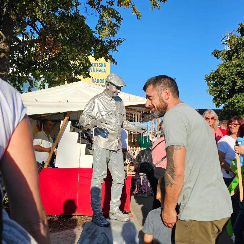 Csallóközi Vásár 2024, Fotó: Rózsár Vince