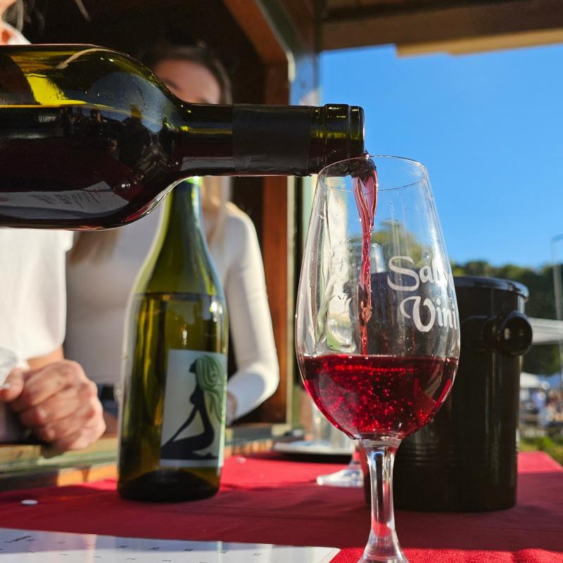 Csallóközi Vásár 2024, Fotó: Rózsár Vince