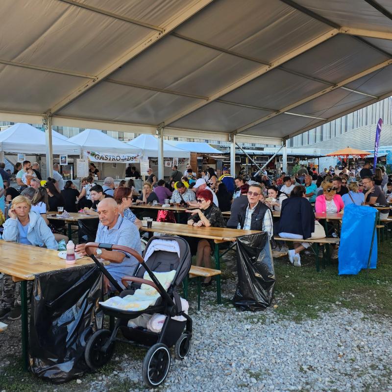 Csallóközi Vásár 2024, Fotó: Rózsár Vince