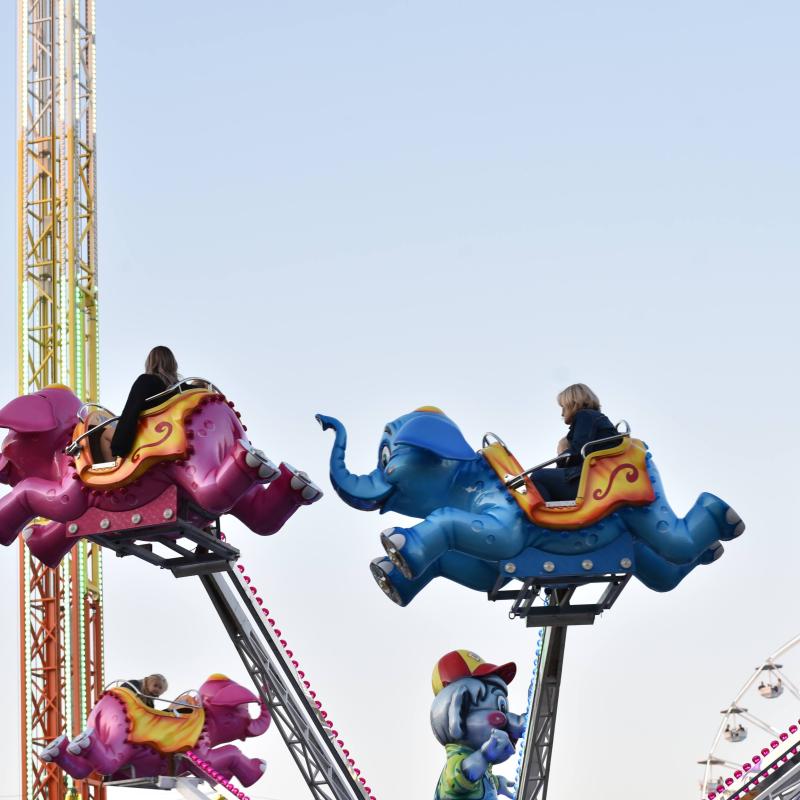 Csallóközi Vásár 2024, Fotó: Rózsár Vince