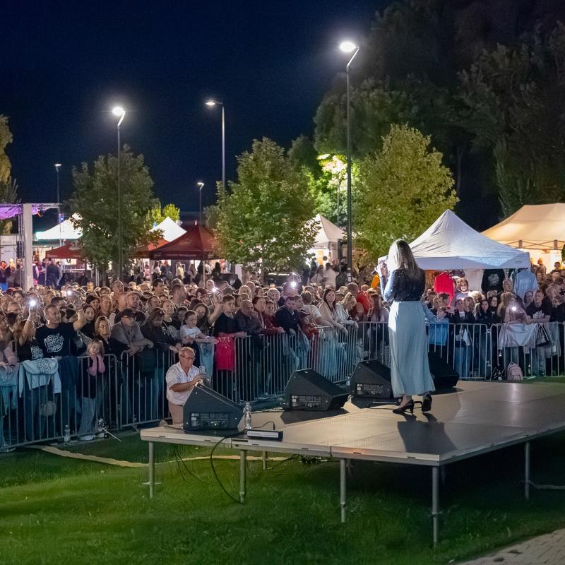 Žitnoostrovský jarmok 2025, Foto: Vince Rózsár