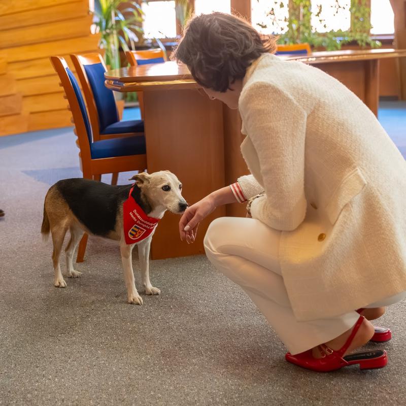 Dunaszerdahelyre érkezett Győr társadalmi nagykövete