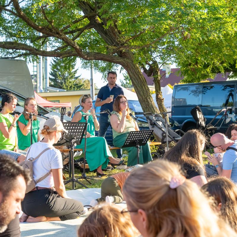 Csallóközi Vásár 2025, Fotó: Rózsár Vince