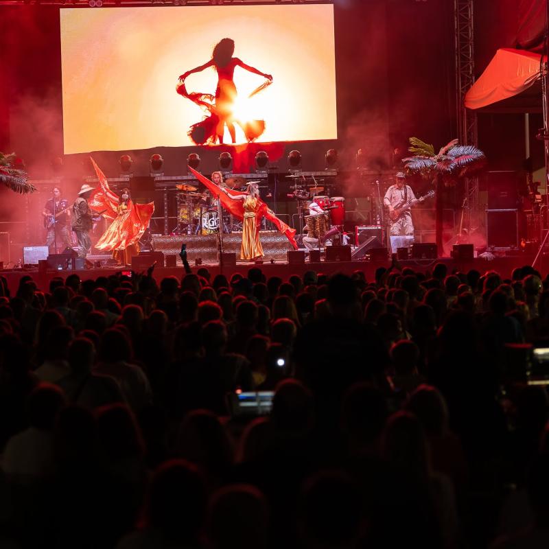 Žitnoostrovský jarmok 2025, Foto: Vince Rózsár