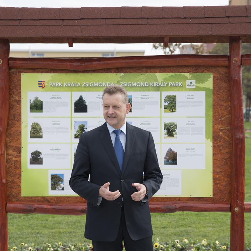 Zsigmond Király Park