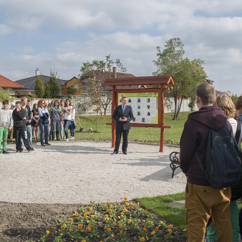Zsigmond Király Park