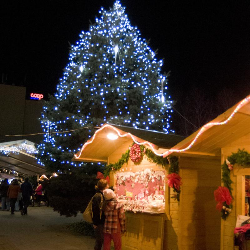 Advent jegyében