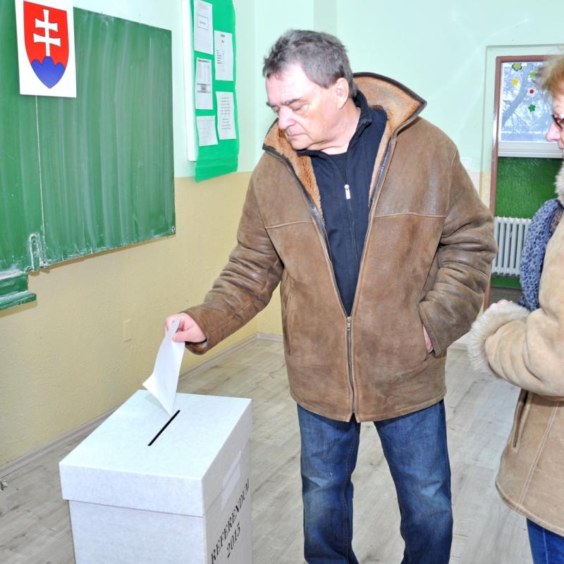 Referendum v roku 2015