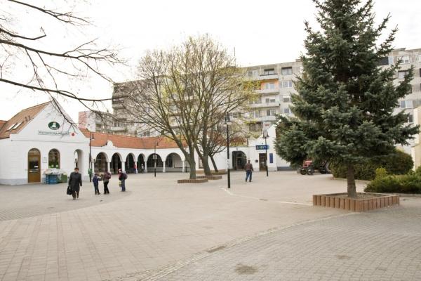 Vambery ter1