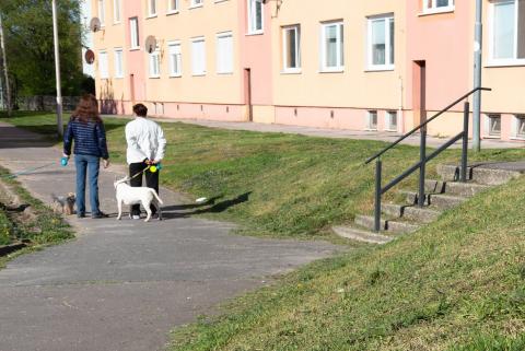 Upozornenie pre psičkárov: Mestská polícia má právomoc kontrolovať majiteľov psov