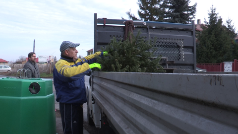 Zber a odvoz vianočných stromčekov do konca januára