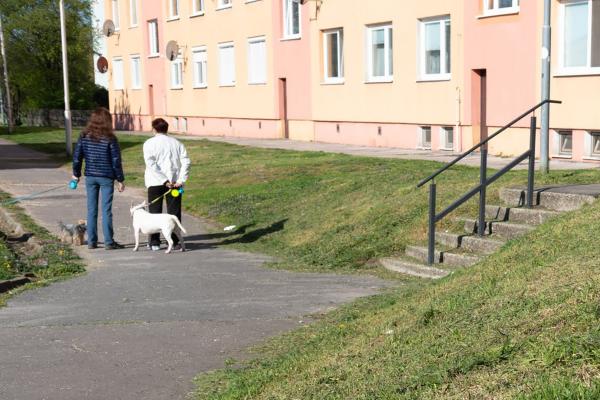 Upozornenie pre psičkárov: Mestská polícia má právomoc kontrolovať majiteľov psov