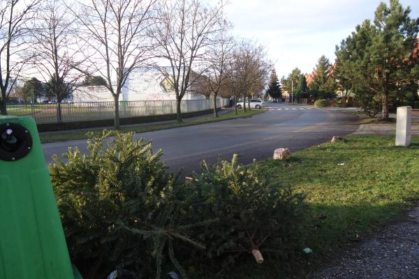A karácsonyfák elszállításáról
