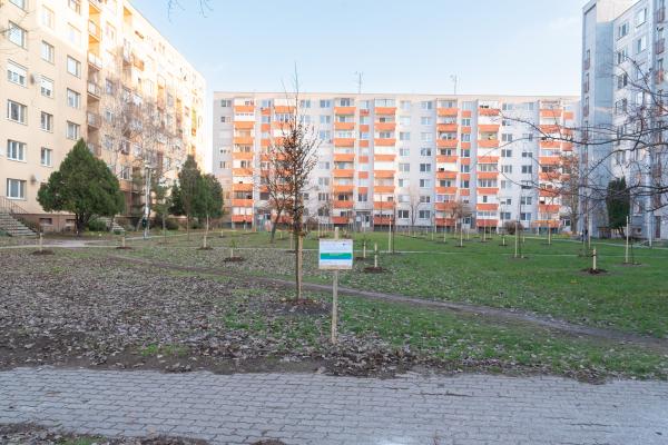 Výsadba stromov v parku na sídlisku Nová Ves