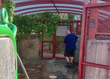 A hulladéktárolók környékét is rendbe tesszük